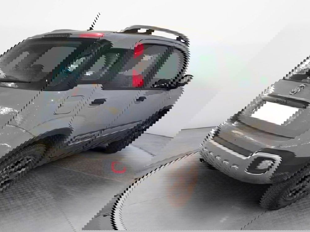 Fiat Panda Cross usata a Torino (6)