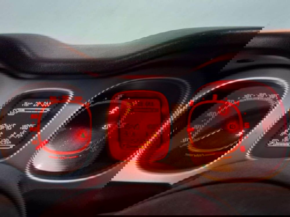 Fiat Panda Cross usata a Torino (7)