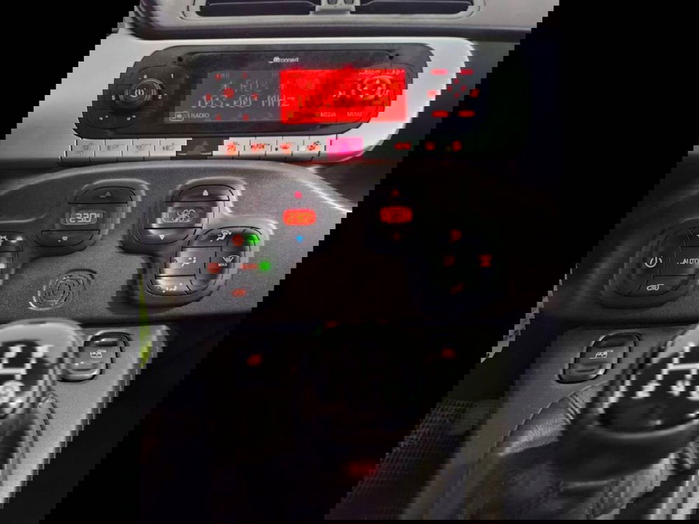 Fiat Panda Cross usata a Torino (8)