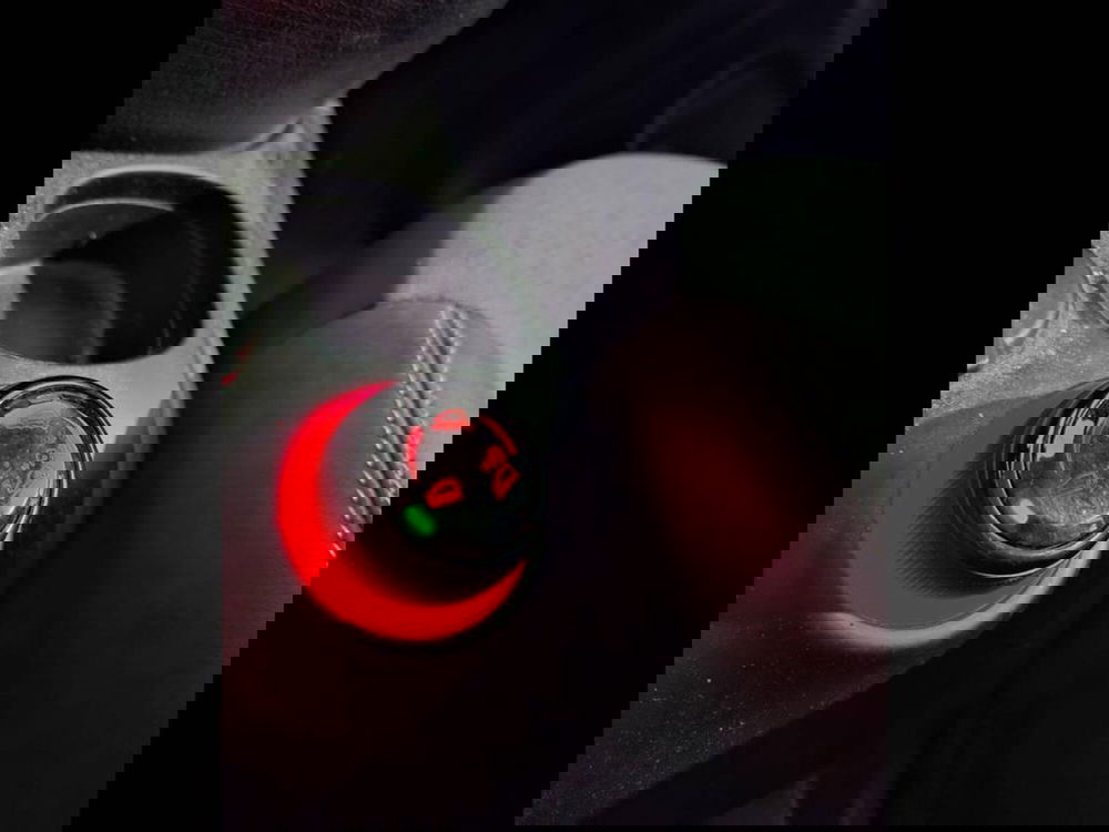 Fiat Panda Cross usata a Torino (9)