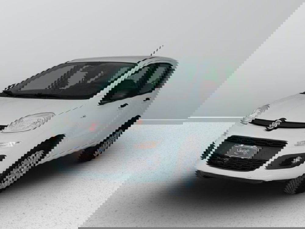 Fiat Panda usata a Teramo