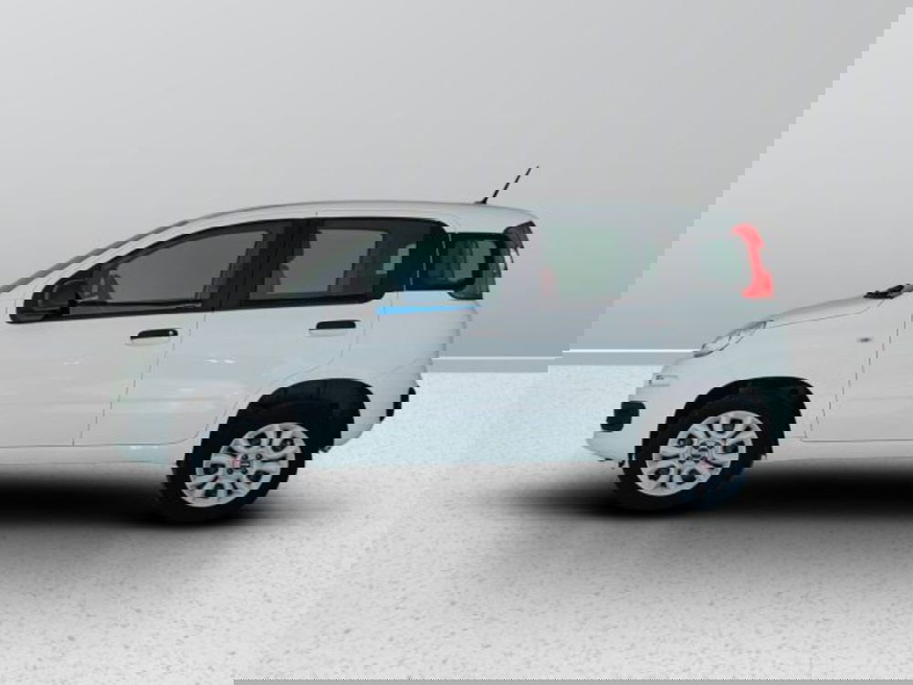 Fiat Panda usata a Teramo (3)