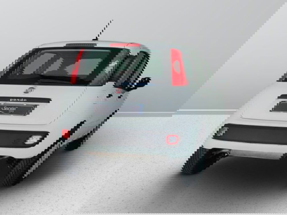 Fiat Panda usata a Teramo (6)