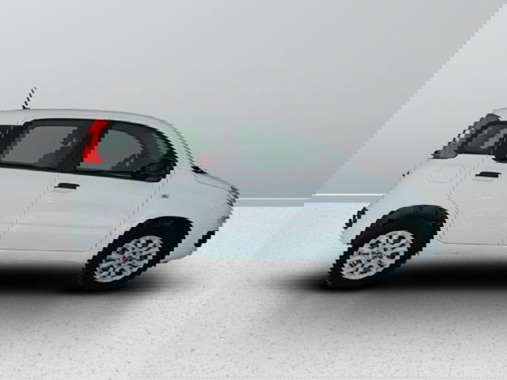 Fiat Panda usata a Teramo (7)