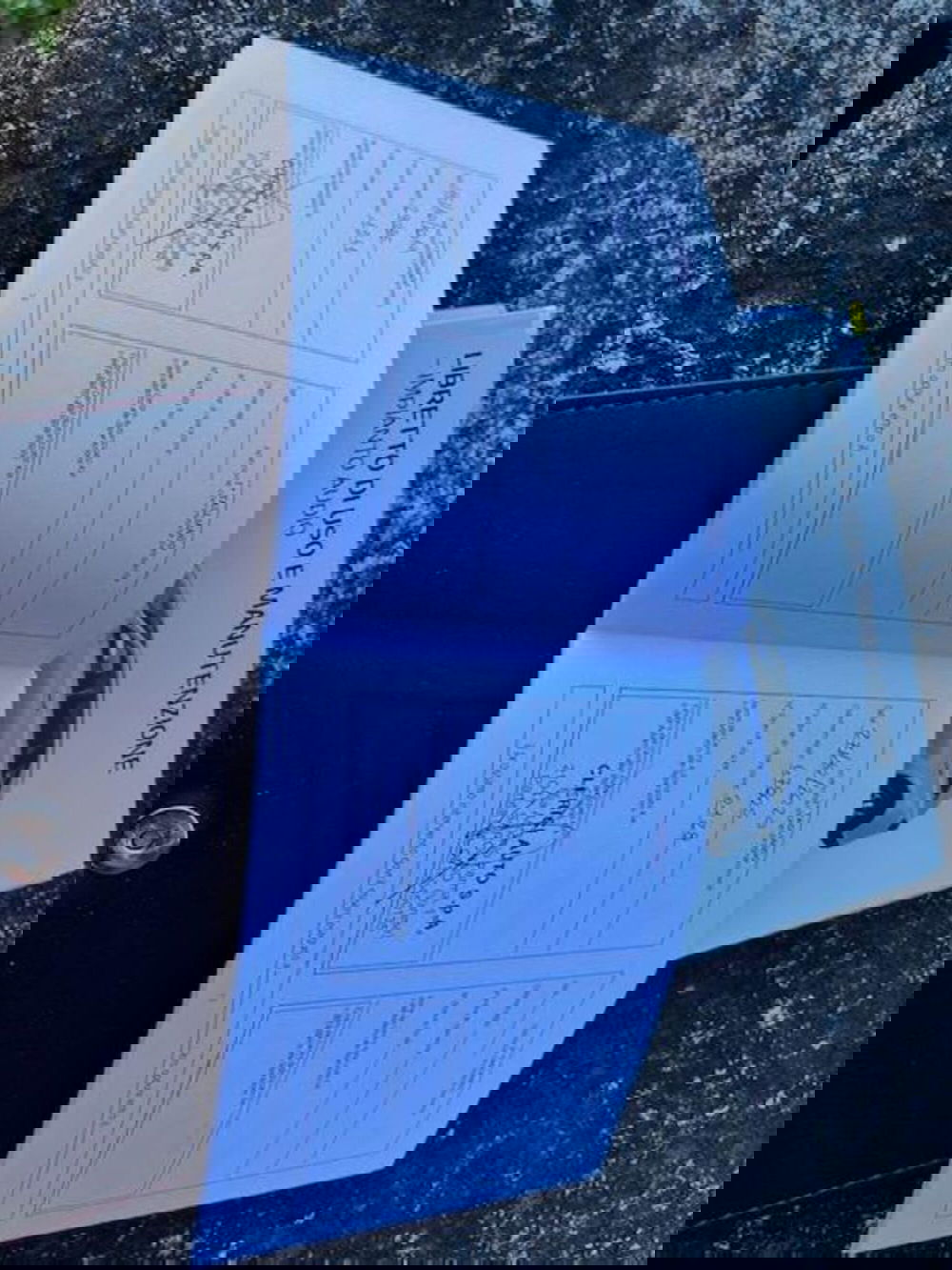 Kia Sorento usata a Verbano Cusio Ossola (12)