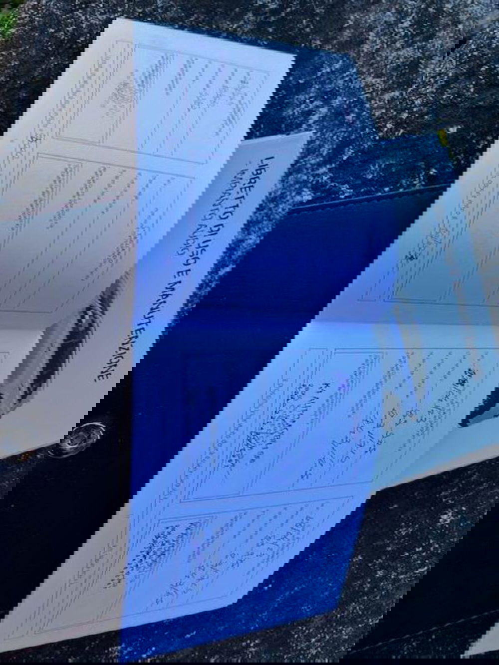 Kia Sorento usata a Verbano Cusio Ossola (13)