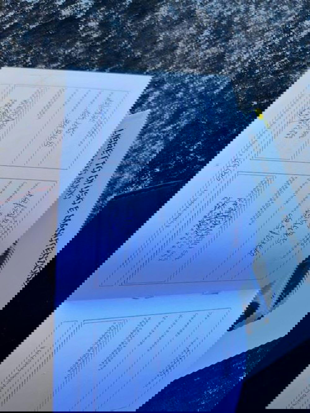 Kia Sorento usata a Verbano Cusio Ossola (14)