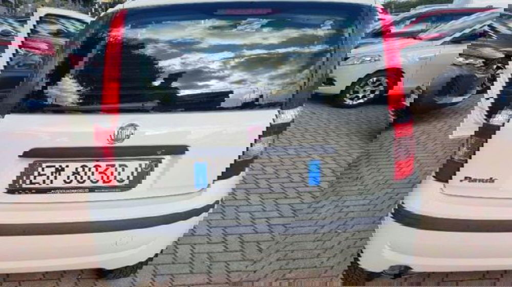 Fiat Panda usata a Savona (14)