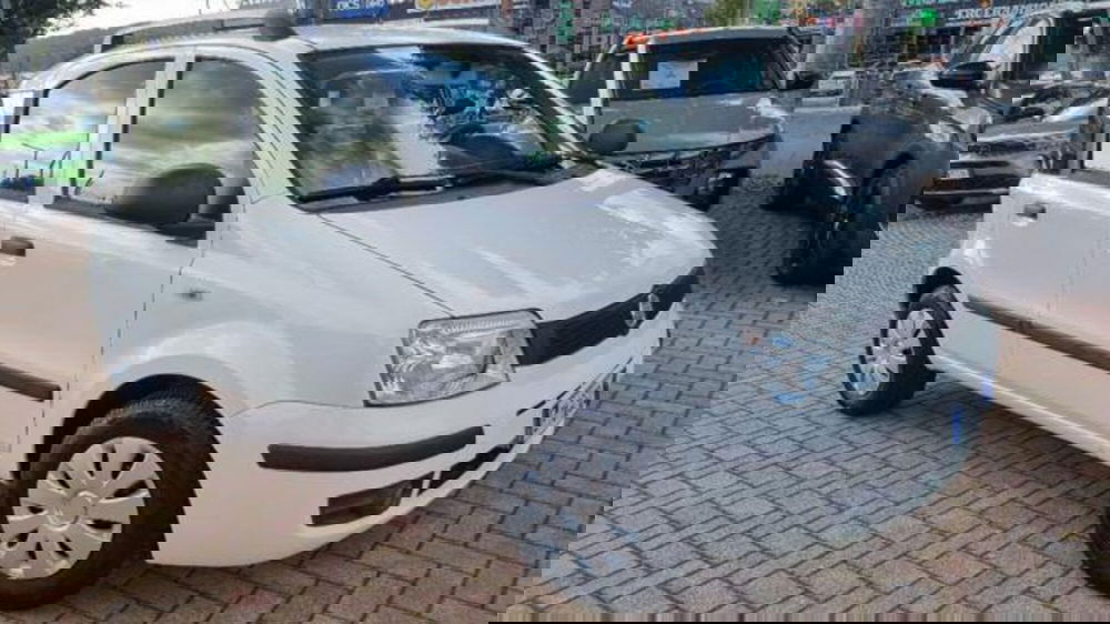 Fiat Panda usata a Savona (18)