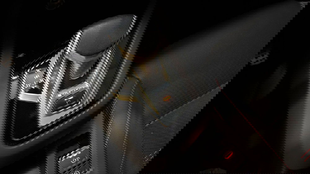 Renault Arkana usata a Treviso (10)