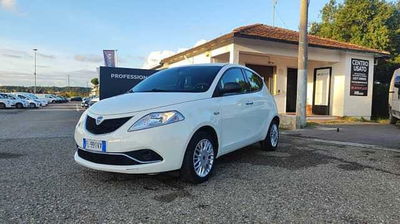 Lancia Ypsilon 1.2 69 CV 5 porte Silver del 2017 usata a Empoli