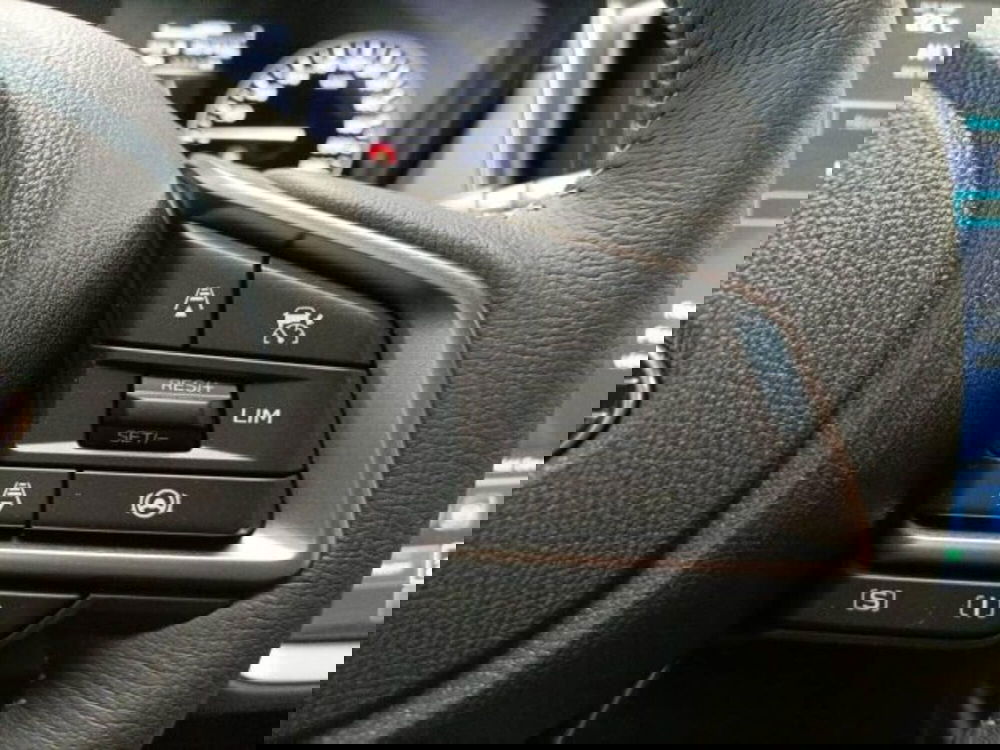 Subaru Crosstrek nuova a Novara (16)