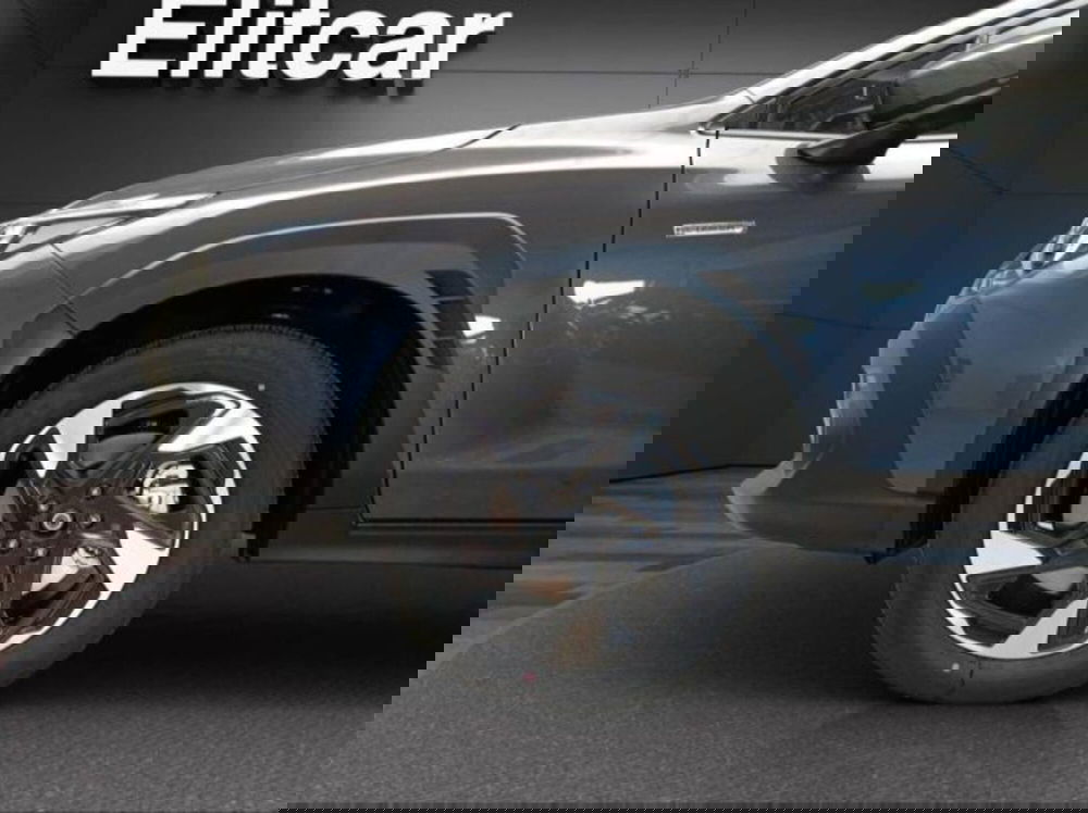 Subaru Crosstrek nuova a Novara (8)