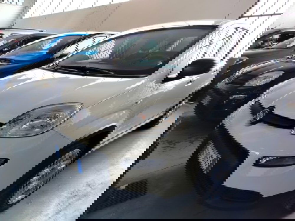 Fiat Panda usata a Forlì-Cesena