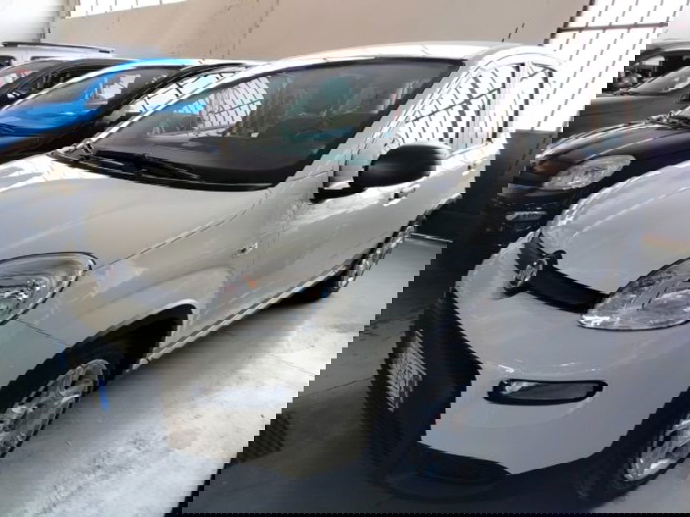 Fiat Panda usata a Forlì-Cesena (4)