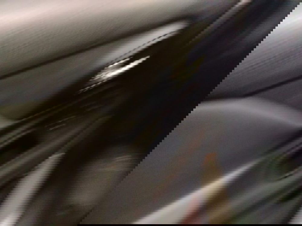 Jeep Renegade usata a Forlì-Cesena (17)