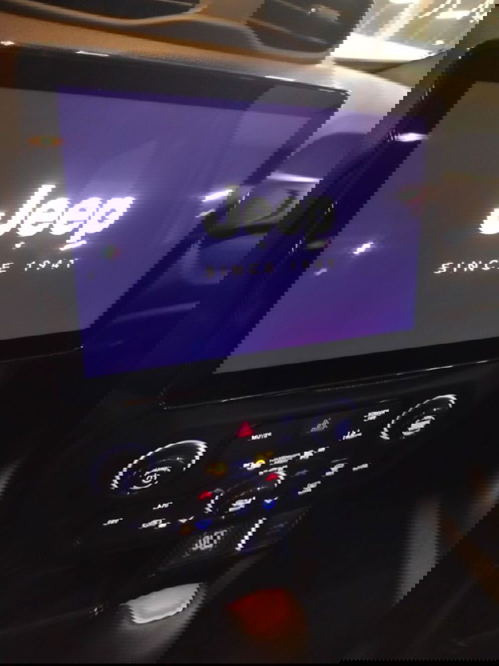 Jeep Renegade usata a Forlì-Cesena (19)