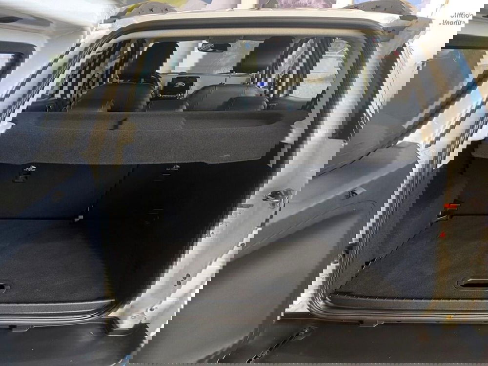 Ford EcoSport usata a Torino (9)