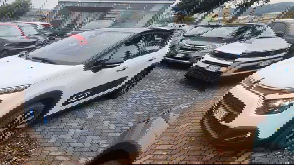 Citroen C3 usata a Savona (15)