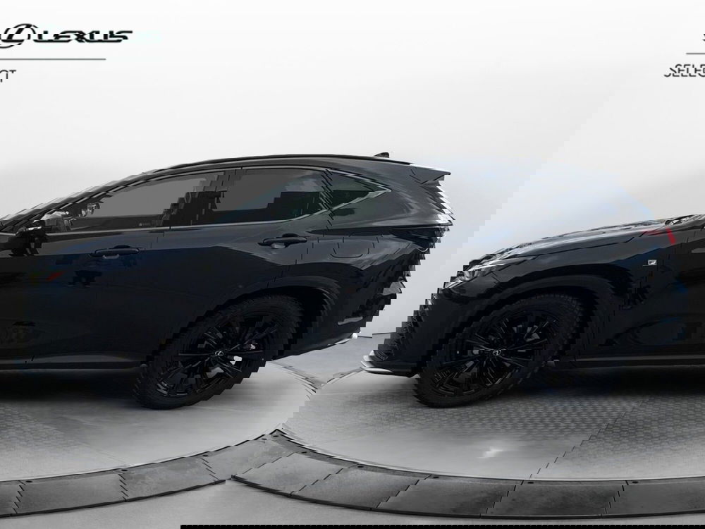 Lexus NX usata a Catania (2)