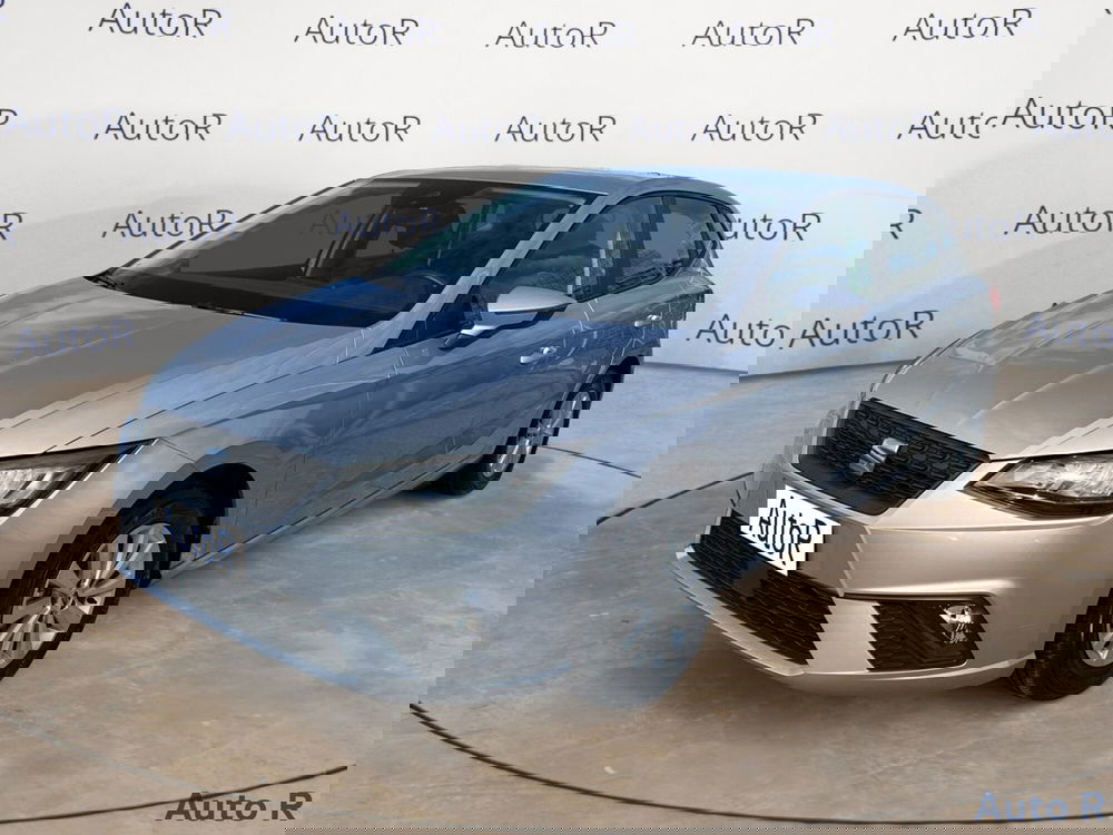 SEAT Ibiza usata a Potenza