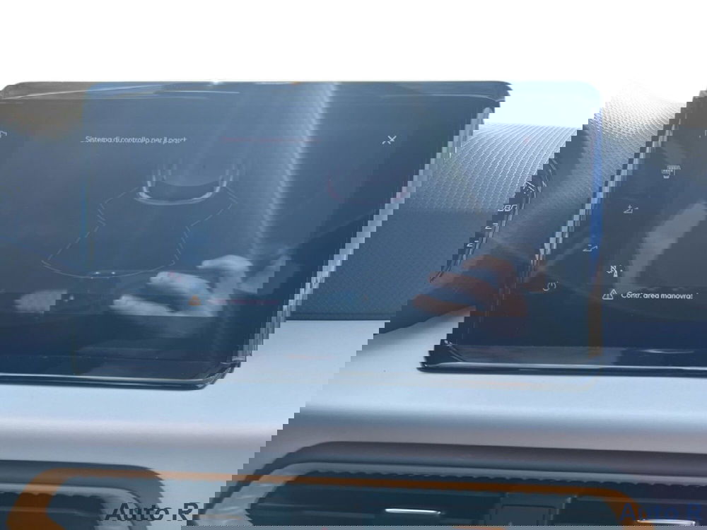 SEAT Ibiza usata a Potenza (15)