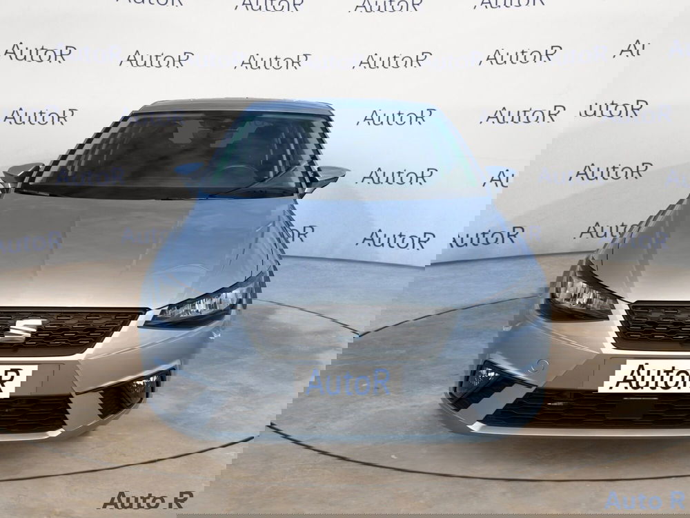 SEAT Ibiza usata a Potenza (2)