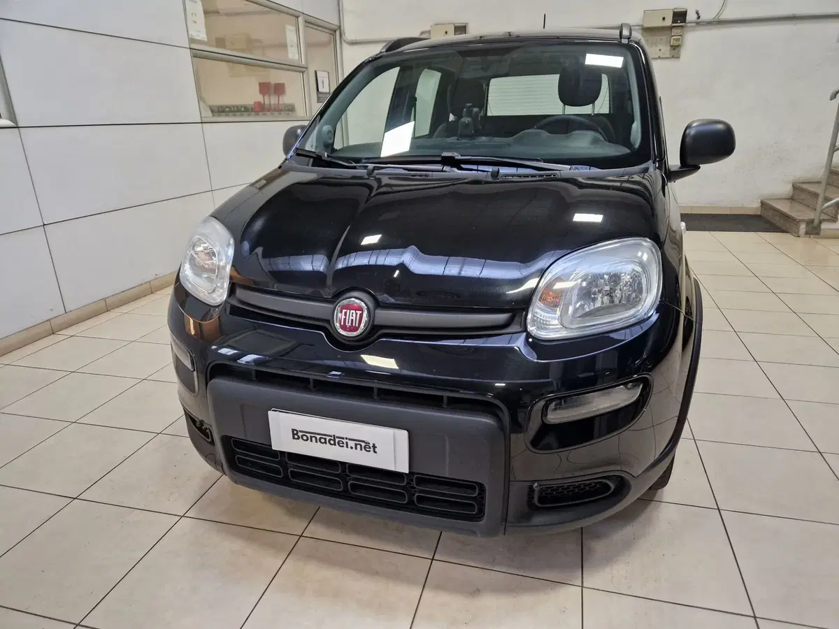 Fiat Panda Cross usata a Varese