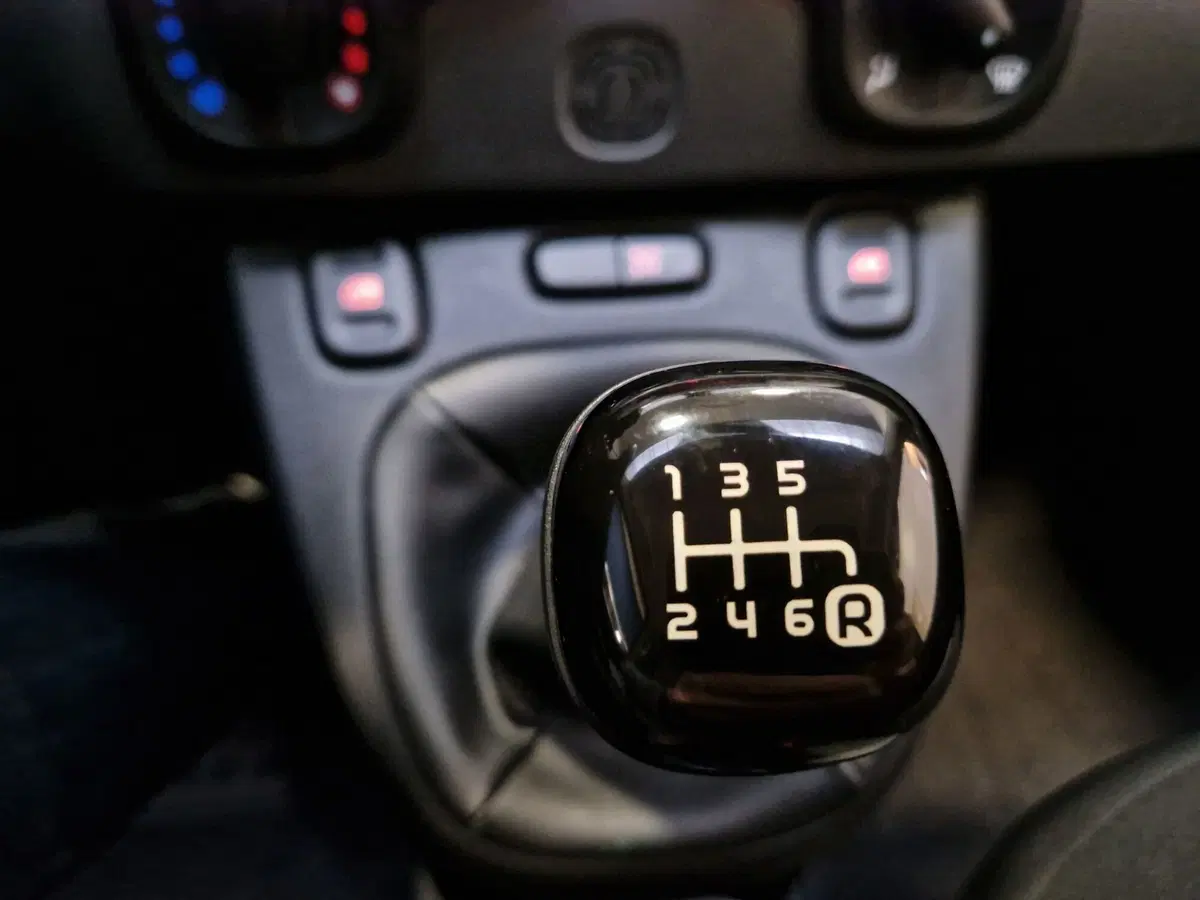 Fiat Panda Cross usata a Varese (11)