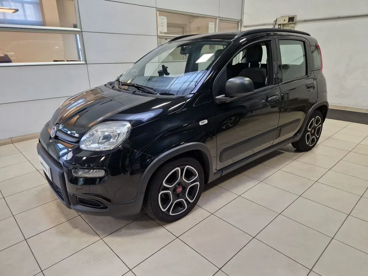 Fiat Panda Cross usata a Varese (2)