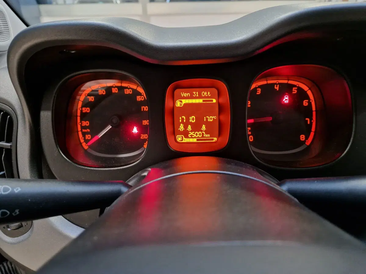 Fiat Panda Cross usata a Varese (8)