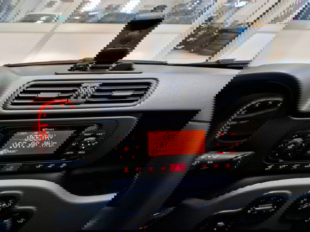 Fiat Panda Cross usata a Varese (9)