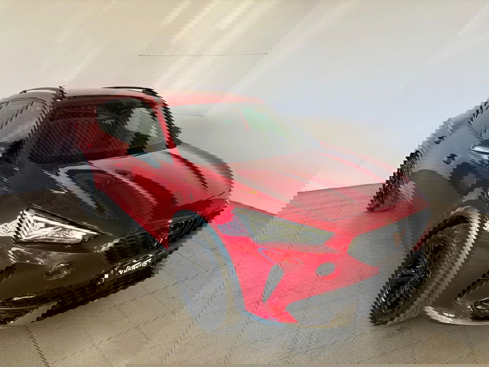 Cupra Formentor usata a Monza e Brianza (19)