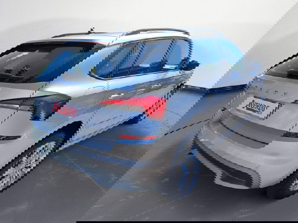 Skoda Kamiq usata a Reggio Calabria (3)