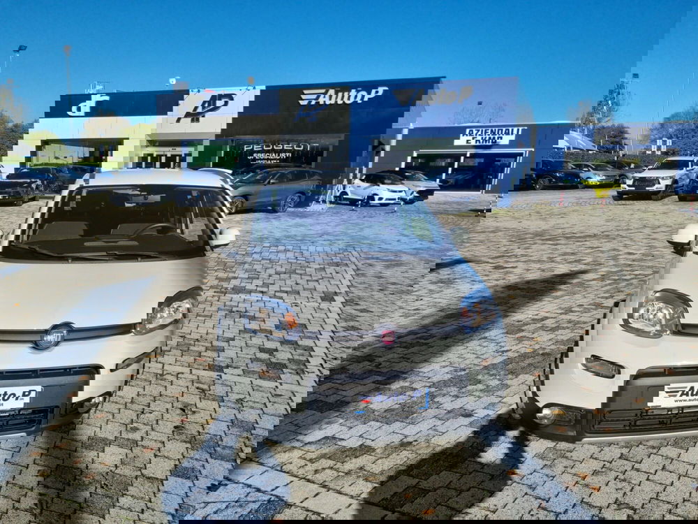 Fiat Panda usata a Lucca