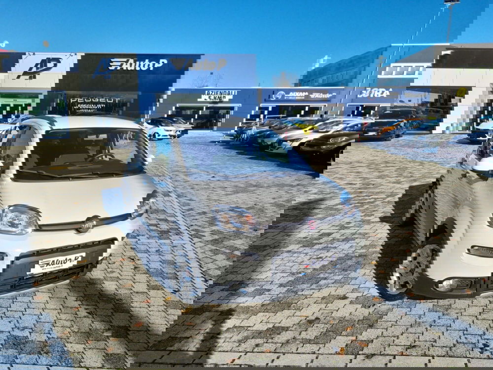 Fiat Panda usata a Lucca (2)