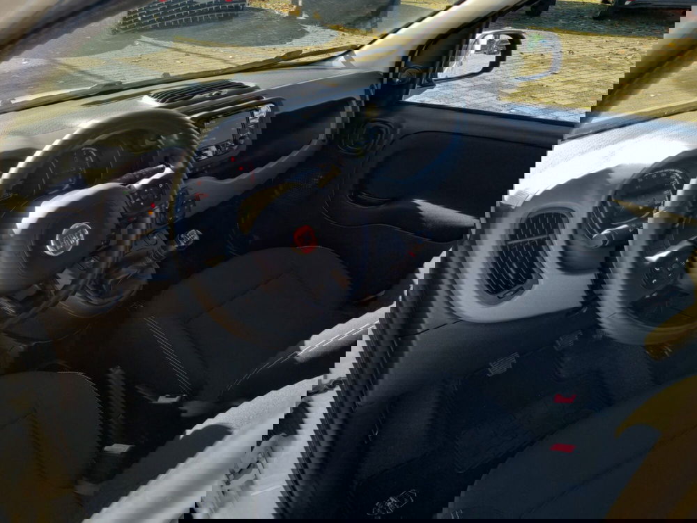 Fiat Panda usata a Lucca (7)