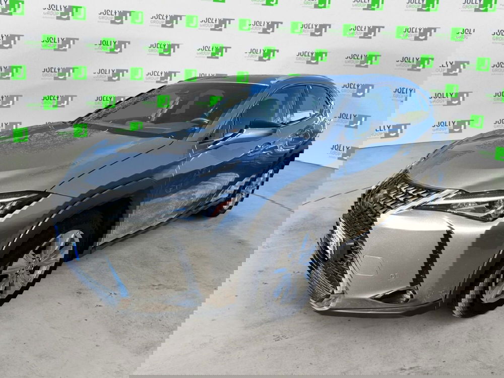 Lexus UX usata a Frosinone