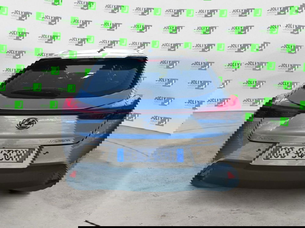 Lexus UX usata a Frosinone (8)