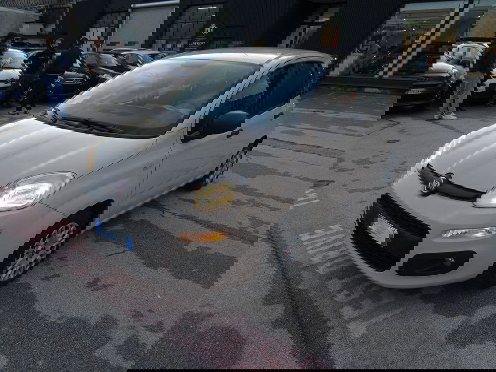 Fiat Panda usata a Lucca