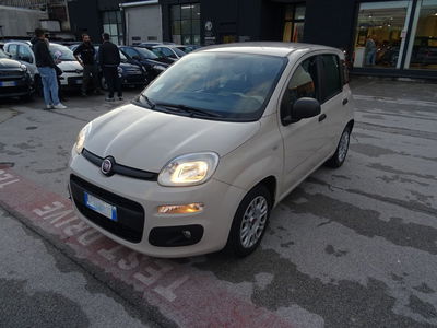 Fiat Panda 1.2 Easy del 2015 usata a Lucca