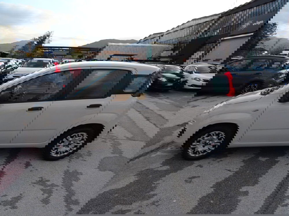 Fiat Panda usata a Lucca (2)