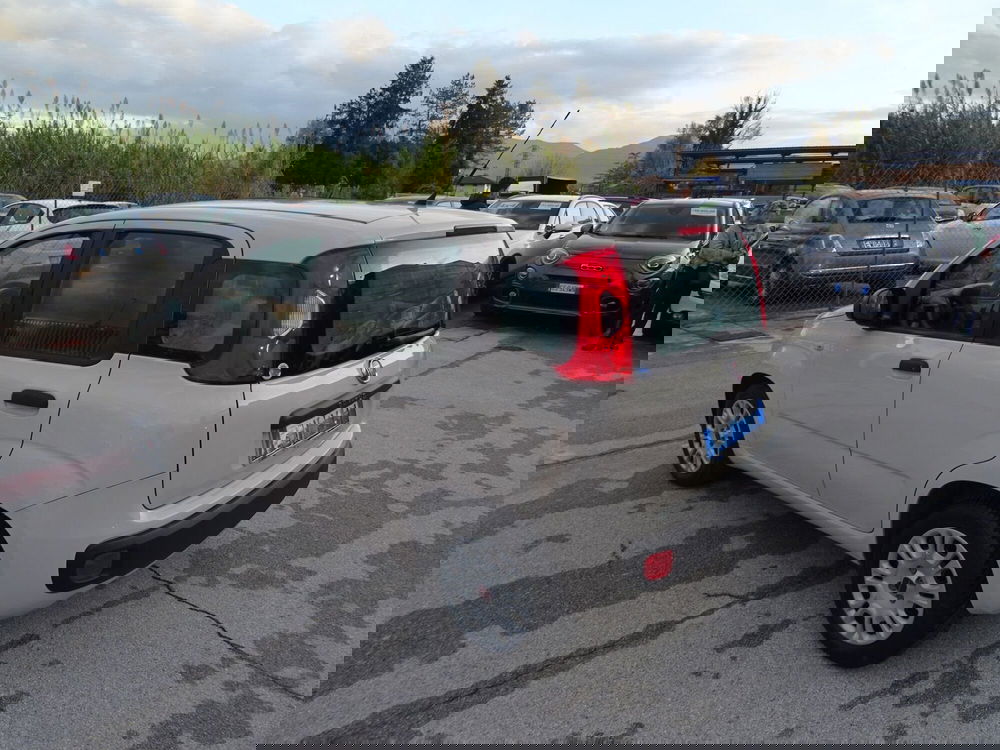 Fiat Panda usata a Lucca (3)