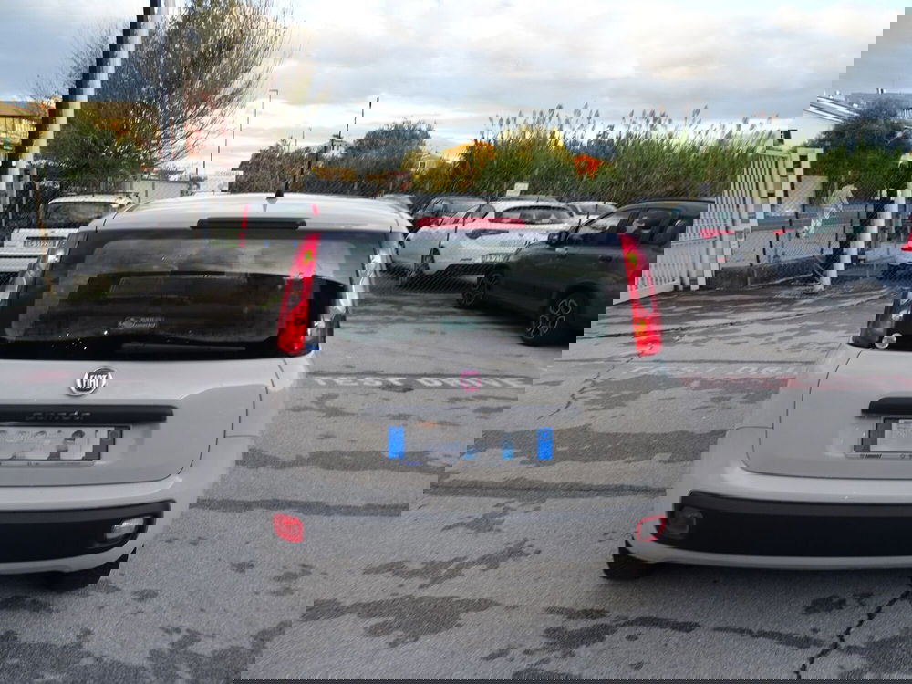 Fiat Panda usata a Lucca (4)