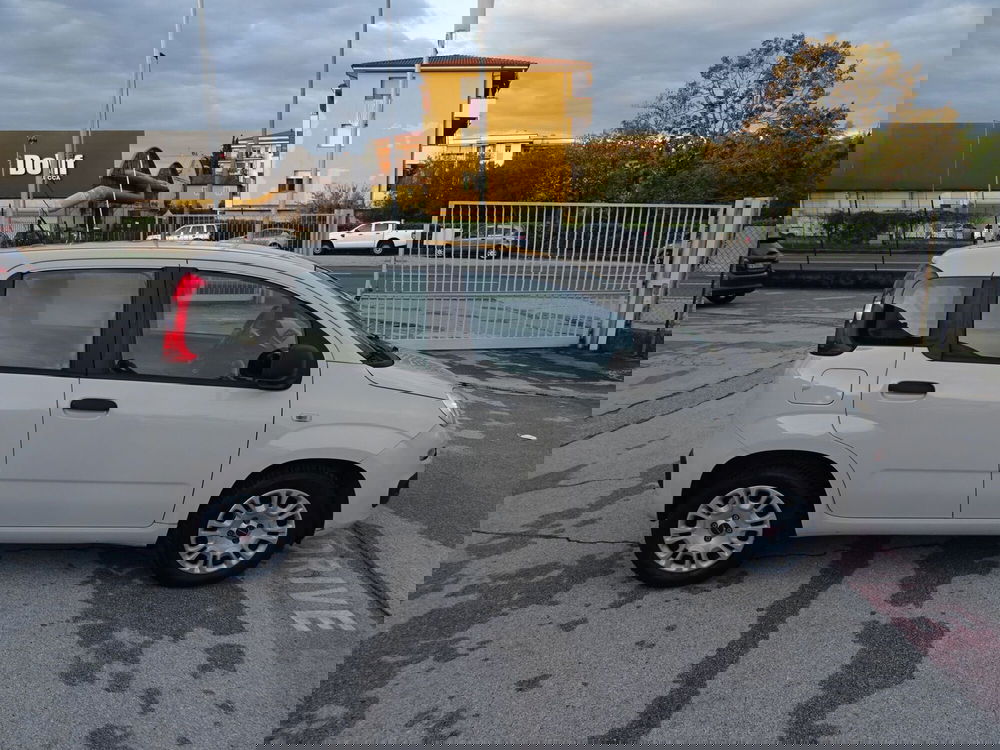 Fiat Panda usata a Lucca (6)