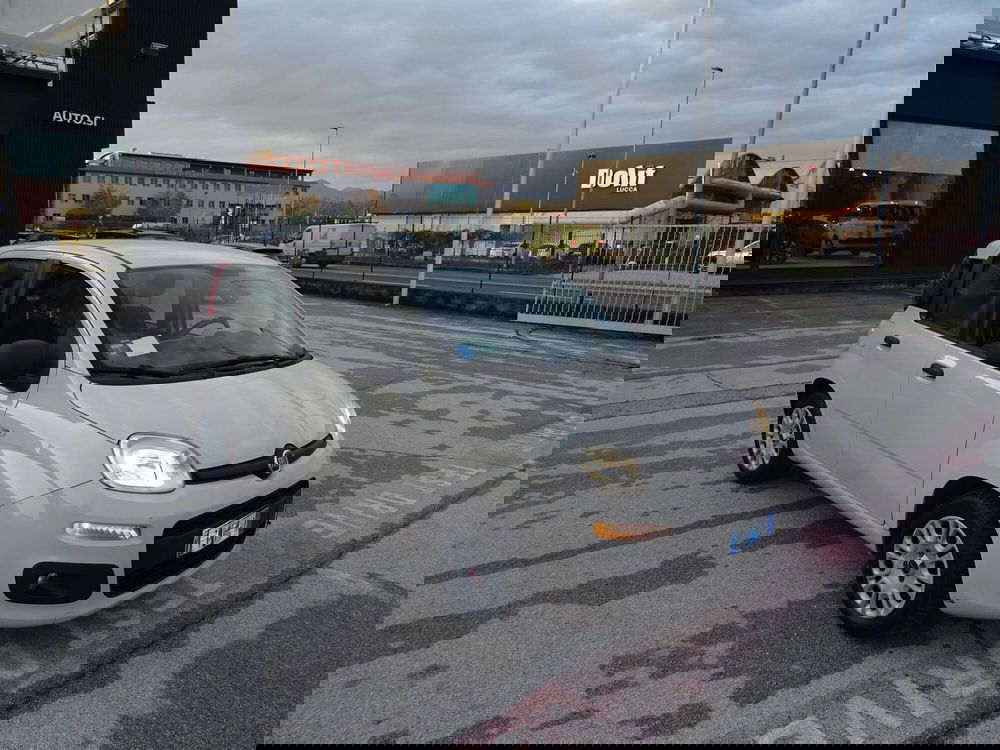 Fiat Panda usata a Lucca (7)