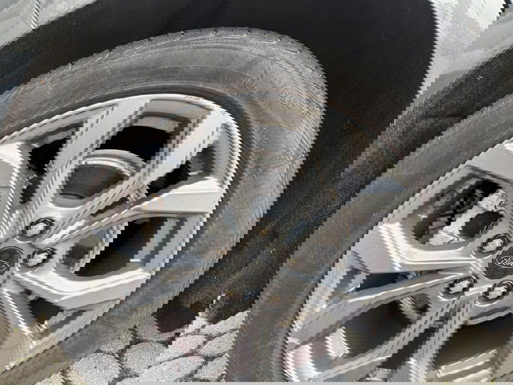 Ford Focus usata a Massa-Carrara (16)