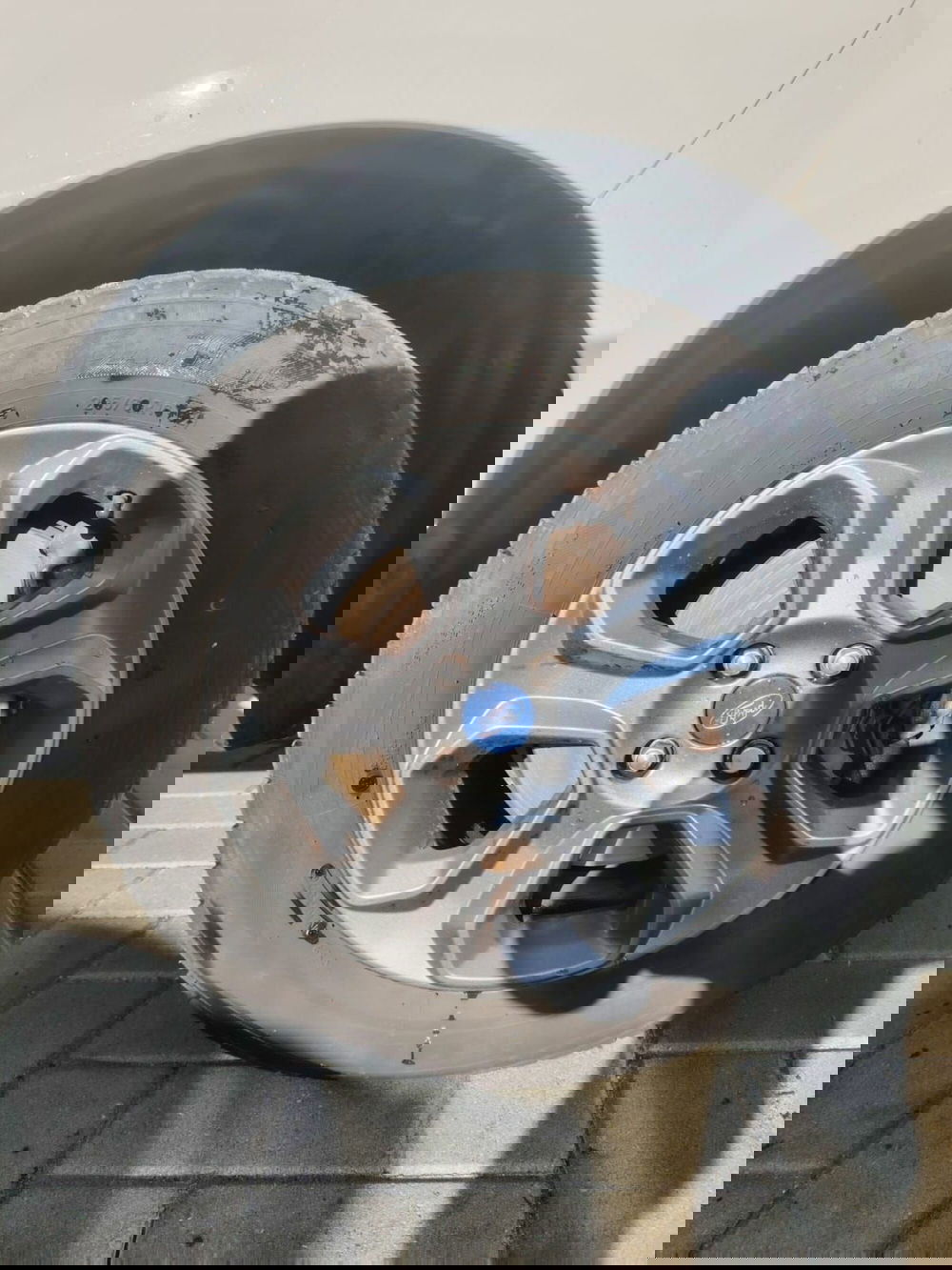 Ford EcoSport usata a Massa-Carrara (13)