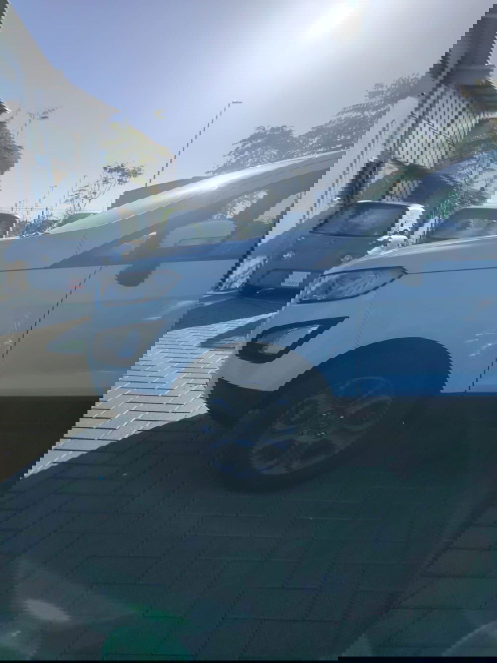 Ford EcoSport usata a Massa-Carrara (19)