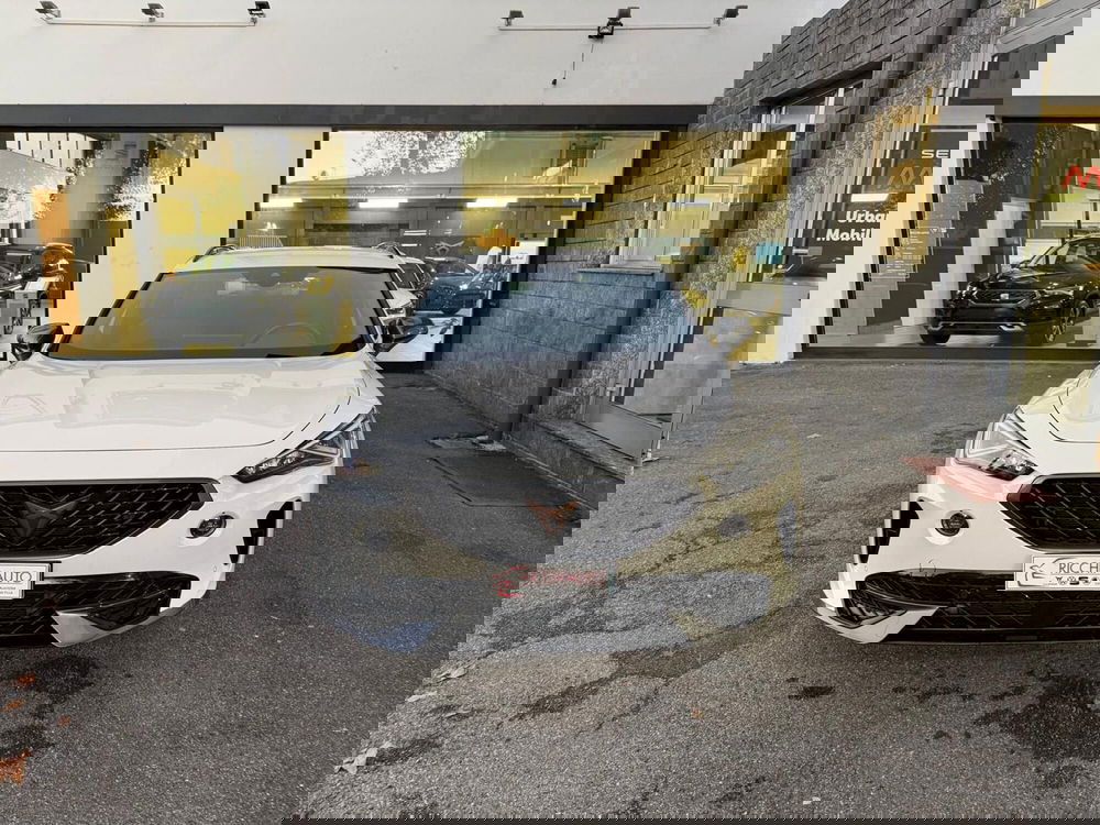 Cupra Formentor usata a Monza e Brianza (6)